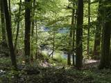 2407 Esque Sharp Rd - Photo 14