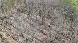 410 Britton Hollow Rd - Photo 30