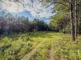 164 Center Ridge Dr - Photo 4