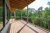 3047 Redtail Road - Photo 62