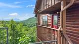 1644 Pinewood Way - Photo 48
