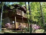 749 Yona Trail Way - Photo 31
