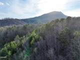 1440 Goose Gap Road - Photo 44