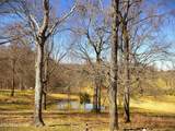 1152 Dogwalk Rd - Photo 56
