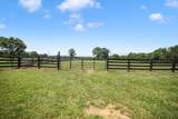 9520A Dyer Rd - Photo 80