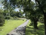 4119 Moss Rose Dr - Photo 2