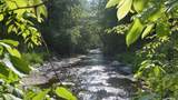 7454 Sugar Camp Hollow Rd - Photo 28