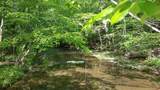 7454 Sugar Camp Hollow Rd - Photo 29