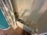 460 Kendyl Cv - Photo 14