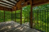 1111 Ditch Gap Road - Photo 14
