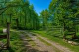 1111 Ditch Gap Road - Photo 3