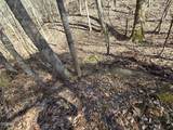 0 Baysinger Road - Photo 4