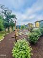 225 Collier Drive - Photo 44