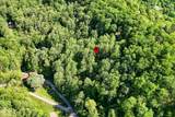 30 Wolf Way - Photo 8