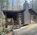 2601 Black Bear Lane - Photo 1