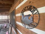 2601 Black Bear Lane - Photo 4