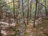 2424 Corral Road - Photo 10