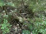17 Wilkins Ln - Photo 5