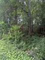 0 Randolph Fridley Road - Photo 3