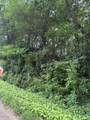 0 Randolph Fridley Road - Photo 4