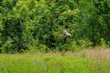 498 Rattlesnake Lodge Rd - Photo 29