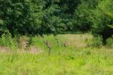 498 Rattlesnake Lodge Rd - Photo 31