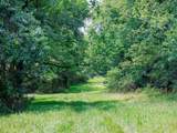498 Rattlesnake Lodge Rd - Photo 47