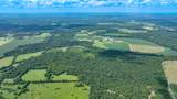 498 Rattlesnake Lodge Rd - Photo 49