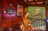 2461 Shady Creek Way - Photo 8