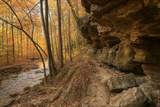 32 Mossy Rock Ln - Photo 38
