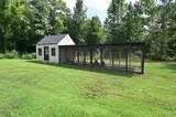 377 Lower Brush Creek Rd - Photo 11