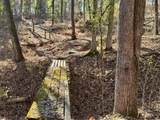 12112 Paw Paw Springs Rd - Photo 93
