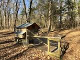 12112 Paw Paw Springs Rd - Photo 96