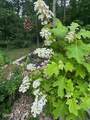 1016 Country Mountain Road - Photo 41