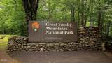 2835 White Oak Ridge Lane - Photo 94
