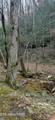 0 N Clear Fork Rd - Photo 11