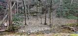 0 N Clear Fork Rd - Photo 14