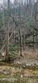 0 N Clear Fork Rd - Photo 17