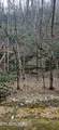 0 N Clear Fork Rd - Photo 7