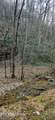 0 N Clear Fork Rd - Photo 8