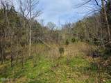 0 Mcamis Hollow Road - Photo 1