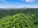 910 Ski View Lane - Photo 43
