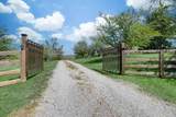 1249 White Road - Photo 5