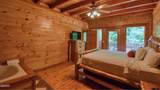 1124 Black Bear Cub Way - Photo 16