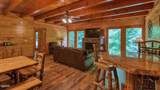 1124 Black Bear Cub Way - Photo 5