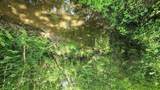 340 Christian Community Rd - Photo 61