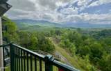 3710 Weber Road - Photo 12