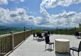 3710 Weber Road - Photo 16