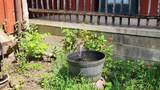 340 Christian Community Rd - Photo 51