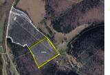 5023 Burt Burgen Rd - Photo 11